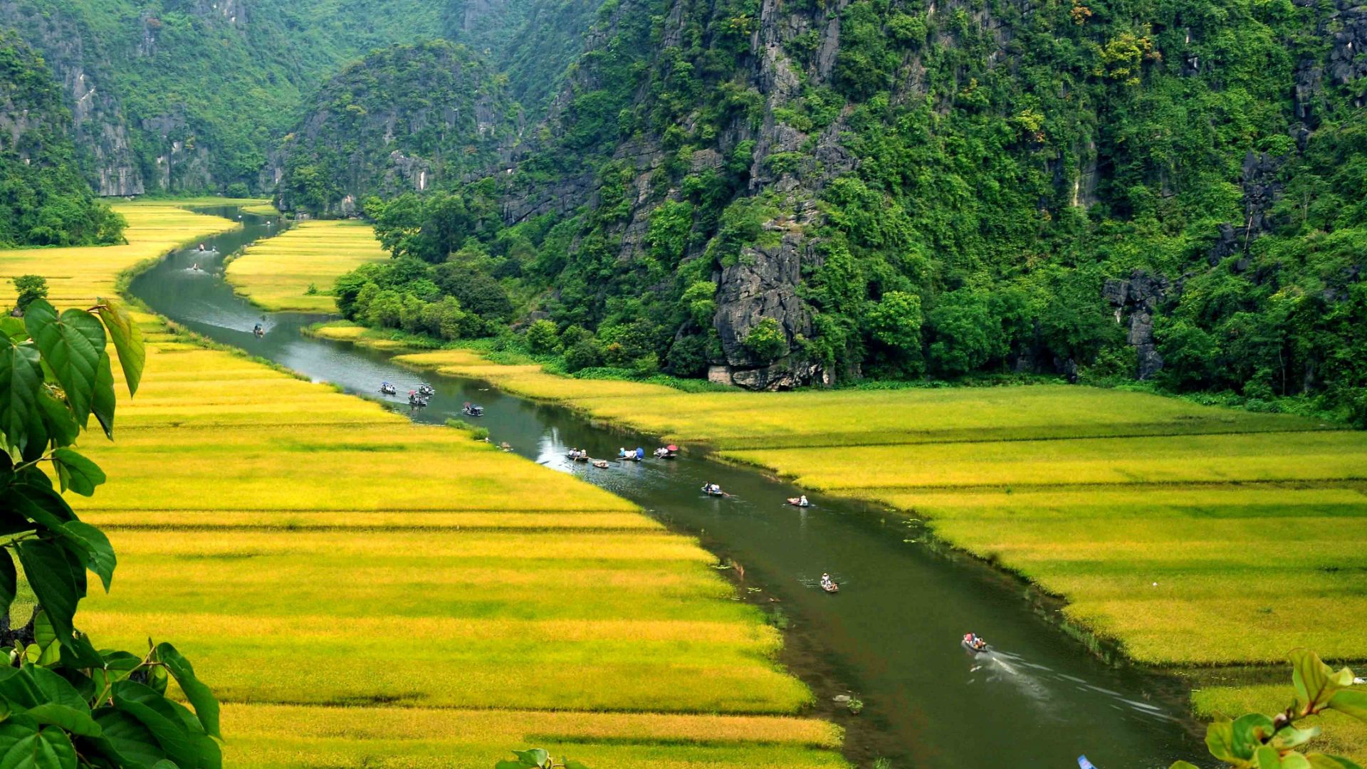 Banner, Travel, Tropigo, Vietnam