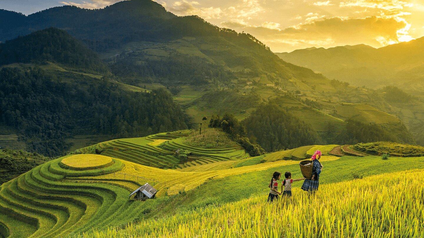 Trips to Vietnam - Discover the Mystical Beauty of Nature and Unique Culture