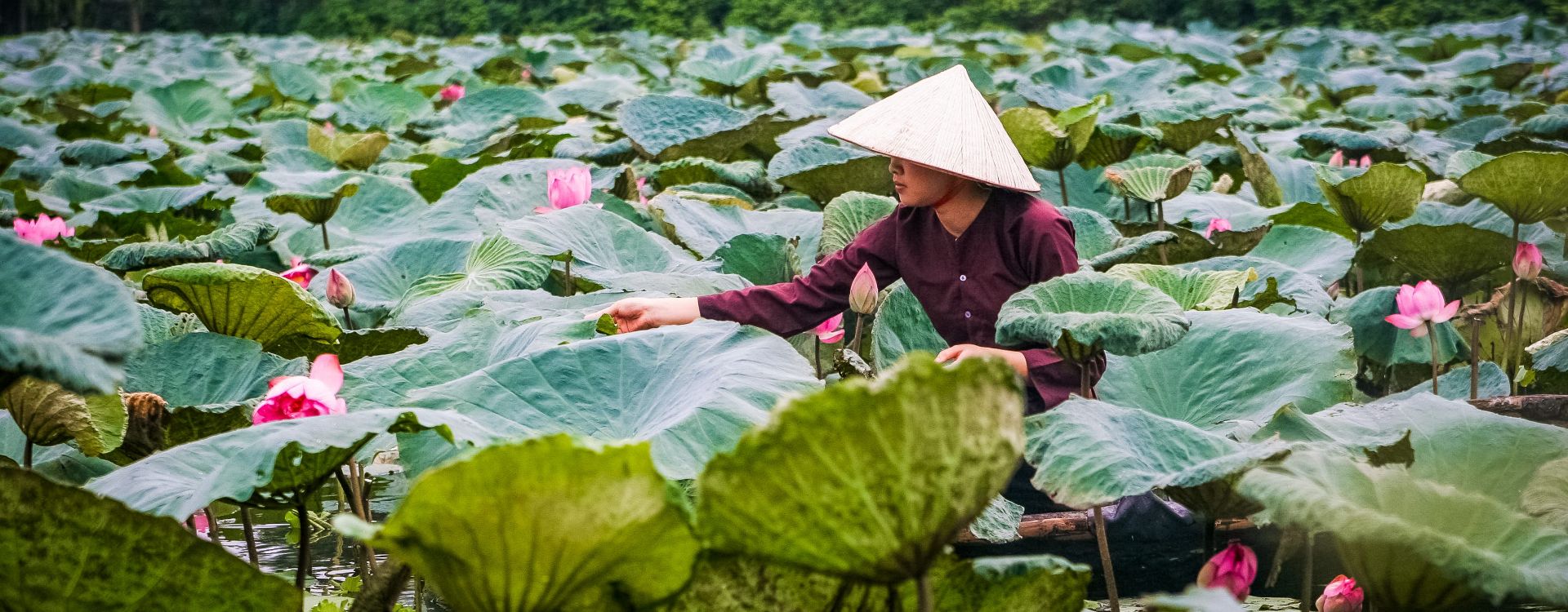 Top 5+ best Vietnam itinerary 7 days recommended by Vietnam tour operator