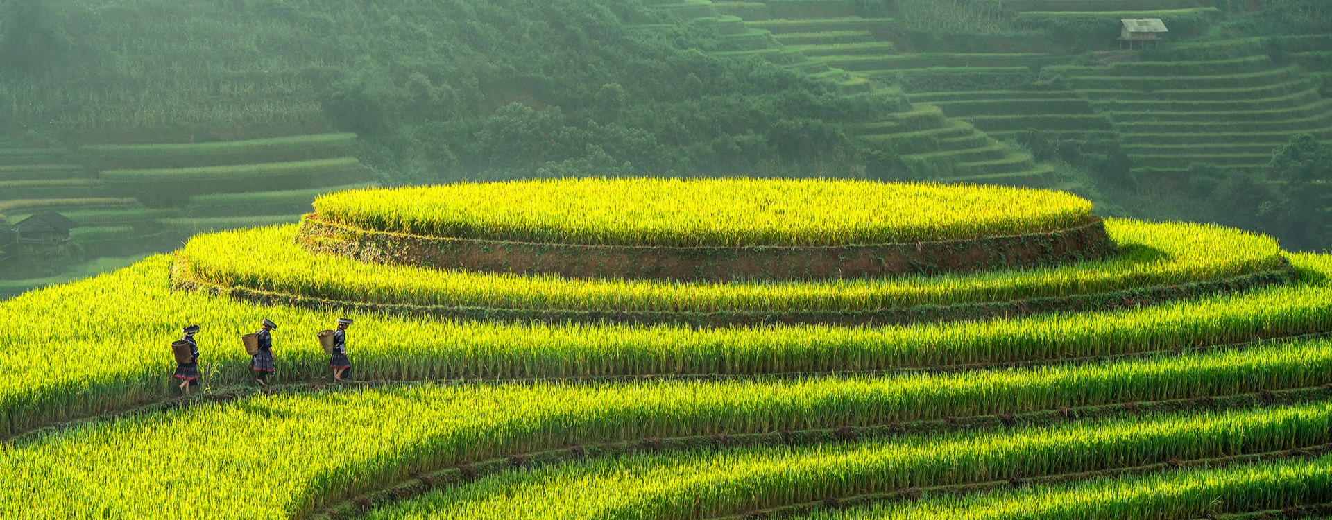 The 5+ best Vietnam itineraries 10 days recommended by Vietnam tour agency