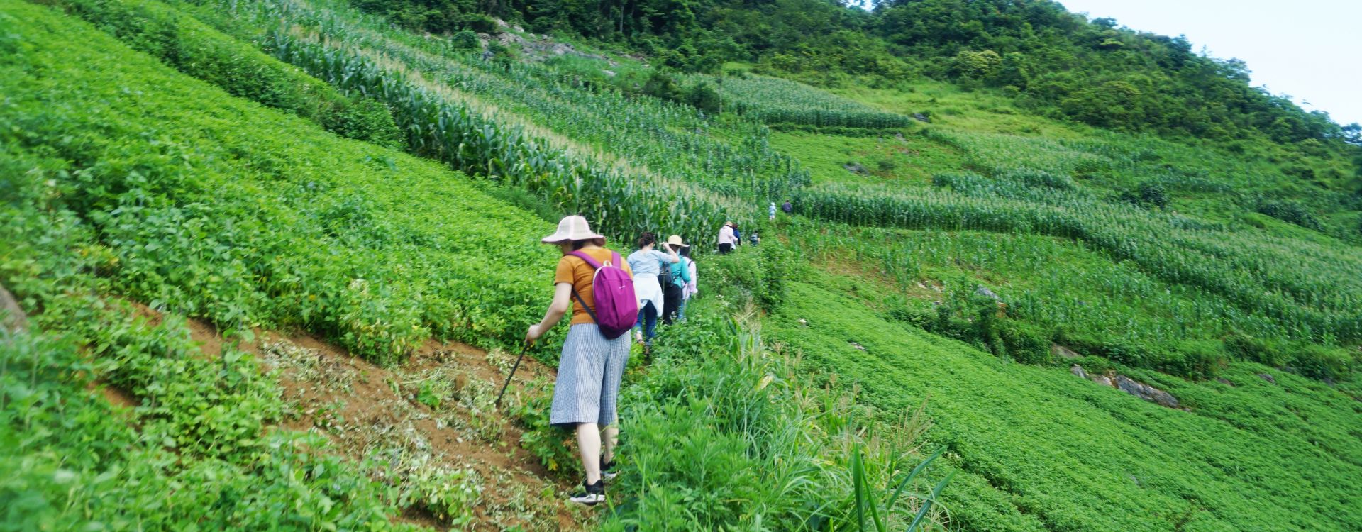 Top 5+ best hiking & trekking tours in Vietnam recommended by Vietnam tour agency