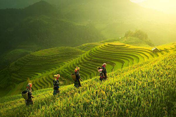 North Vietnam tour