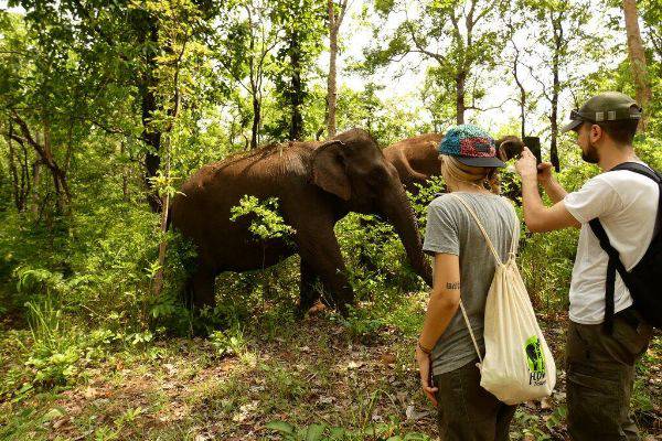 Trekking tour in Cambodia