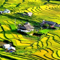 Wonderful trip to Northern Vietnam